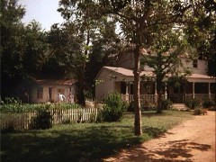 The House and Garden Shed
